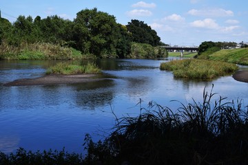 川の風景・神奈川県平塚市金目川