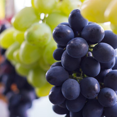 bunch of grapes close up view shallow depth of scene