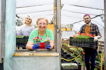 People working in a greenhouse