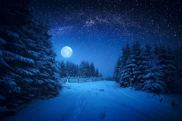 Vlies Fototapete Nacht Majestätischer Winterwald