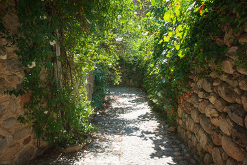 Fototapeta premium Narrow grown street surrounded by walls in the village of Labeaume in the Ardeche region of France