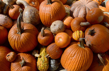 Pumpkins