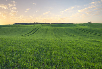 green field, panorama
