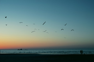 Cielo azul despejado al atardecer en una playa