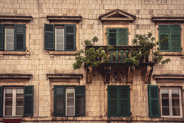 Fototapeta na wymiar Old balcony with trees and flowers on old medieval building facade with windows in medieval architecture in ancient European city Kotor in Montenegro