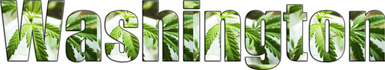 Washington Marijuana Logo High Quality 