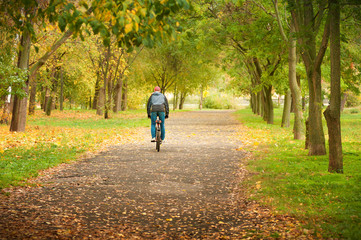 Fototapeta premium a man rides a bike on alley in a park in the fall, a back view