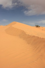 Fototapeta na wymiar Beauté du désert du Sahara, Tunisie 