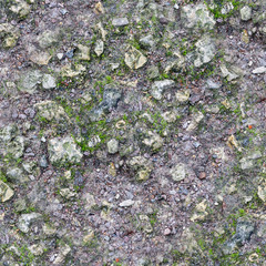 seamless gray rocky ground with moss texture. background.