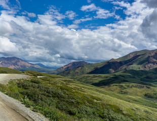Fototapeta na wymiar View towards sky with clouds and nature in Denali National Park