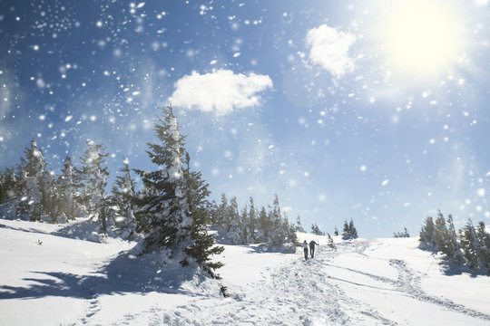 Fototapeta Snowfall in the mountains