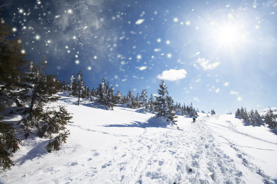 Fototapeta Snowfall in the mountains
