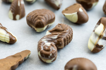 Milk chocolate in the form of sea shellfish.