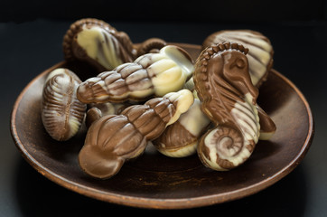 Assortment of Belgian chocolates. Fragrant candies.