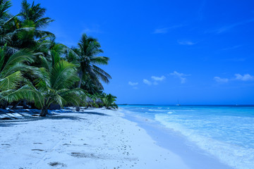 Sea landscape - tropical beach (Saona Island, Dominican Republic).
