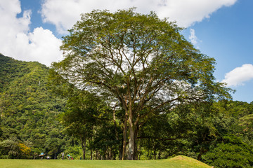 Nature photography - golf course in the mountains (Caracas, Venezuela).