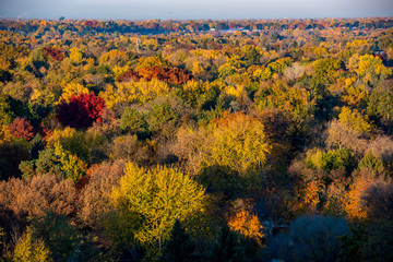 Fototapeta na wymiar Sea of fall trees in full autumn color as seen from above
