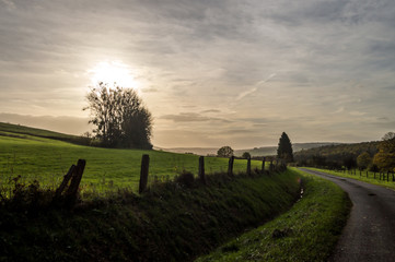Landscape of the Gaume