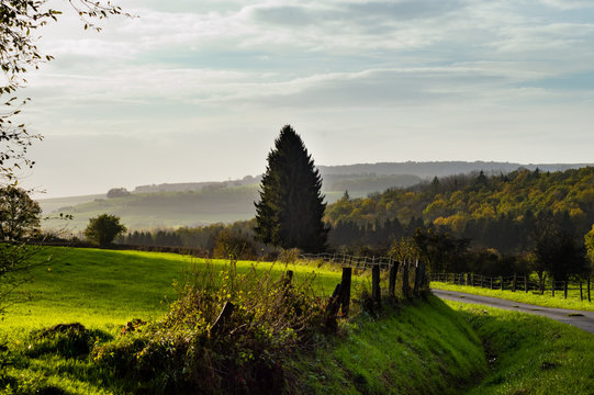 Landscape Of The Gaume