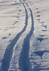 Fototapeta na wymiar Traces of skiing in the snow, cross-country ski trail, snowy winter background.