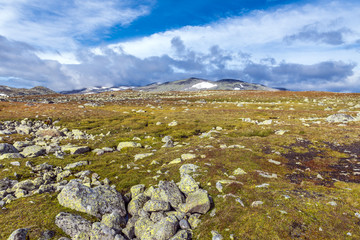 Landscape in Jotunheimen National Park, Norway