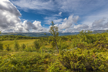 Norwegian landscape close to Beitostølen, Norway