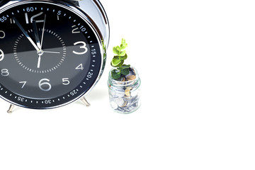 coins with plant and clock, isolated on white background. savings concept