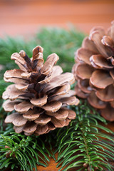Fototapeta premium Christmas branches. Christmas greeting card. Symbol xmas.