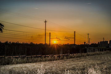 Wheat field in the Roman countryside on a summer sunset