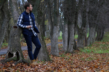 Young beard man in an autumn