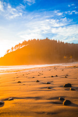 Oregon Coast Beach Sunset