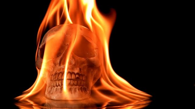 burning skull in flames on a black background