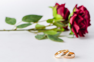 Wedding concept with rings and roses