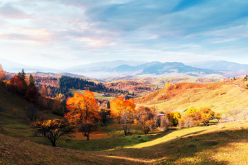 Amazing rural scene on autumn valley