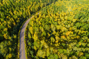 Fototapeta premium aerial shot of trail in colorful autumn forest