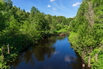 Fototapeta na wymiar Beautiful river in the forest