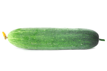fresh green cucumber is raw isolate on white background