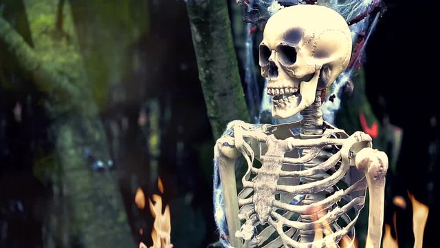 Human Skeleton on Fire in the Forest. Halloween Background - HD Video
