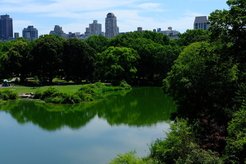 Obraz premium Overlooking central park