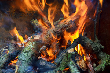 three burning billets in hot stove