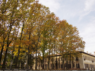 Bikeway along the Naviglio Grande Villa Gaia at Robecco