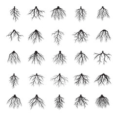 Naklejka premium Set of Black Roots Tree. Vector Illustration.