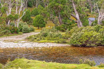 Fototapeta na wymiar Ronny Creek crossing in the Cradle Mountain-Lake St Clair National Park - Tasmania, Australia