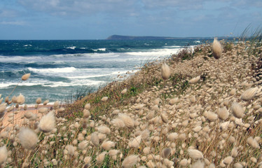 Kilcunda, Australia