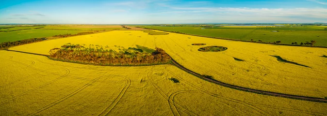 Foto op Plexiglas Luchtfoto Aerial panorama of canola field at sunset in Australia