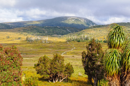 View from the Waldheim Chalet in the Cradle Mountain-Lake St Clair National Park - Tasmania, Australia