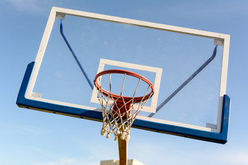 Naklejka premium Basketball Shield and Ring