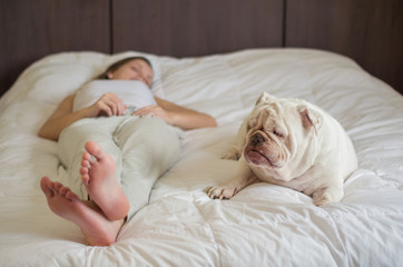 Ótimo conceito de vida com pets. Bulldof Inglês, cão, dormindo na cama junto com mulher, pés da...