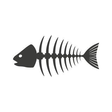 Fish. Skeleton. Vector.