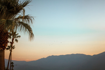 Fototapeta na wymiar Beautiful sunset view of mountains and palm trees